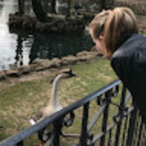 Meet your Posher, Dlg